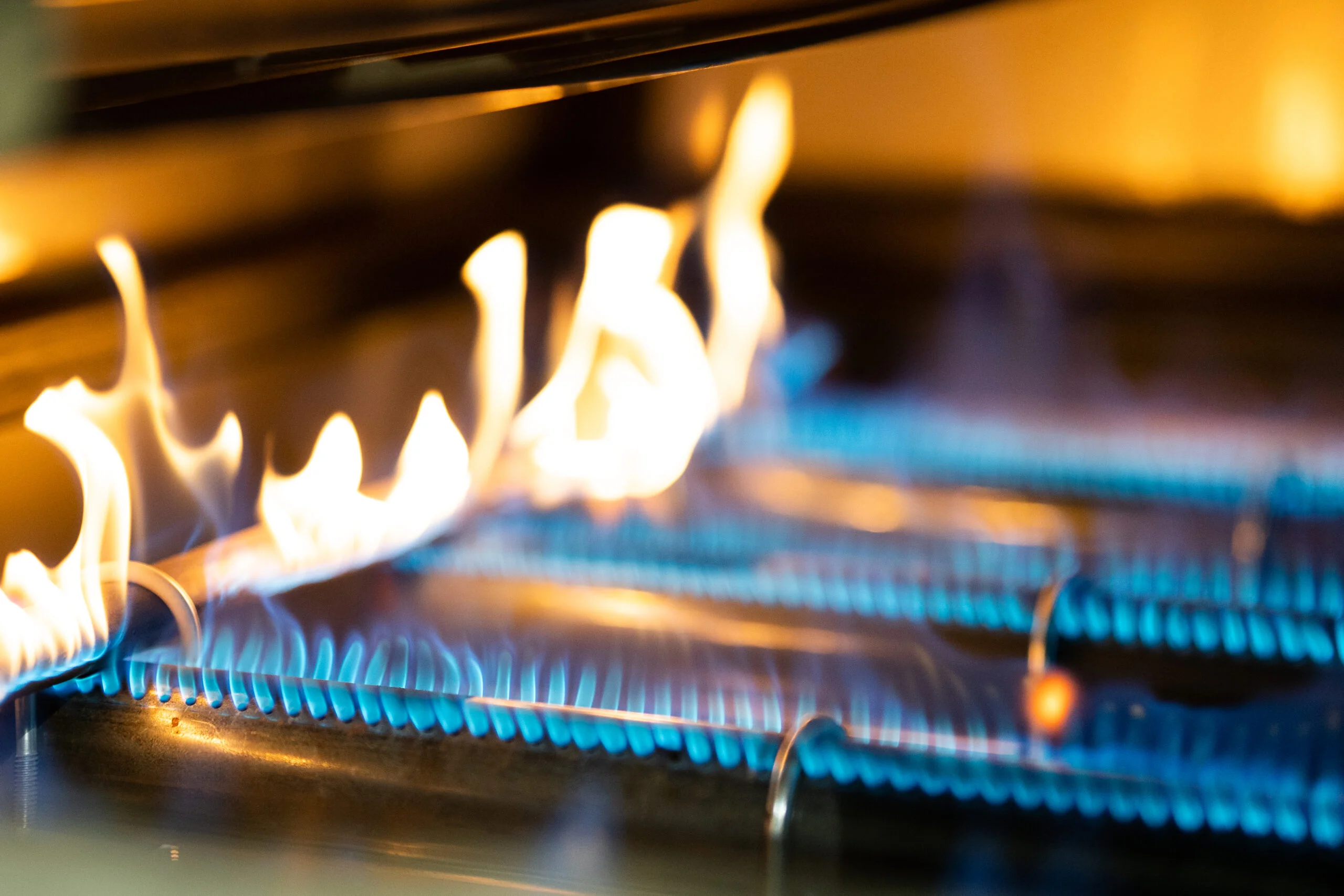 Model 600 Chicken & Rib Cooker