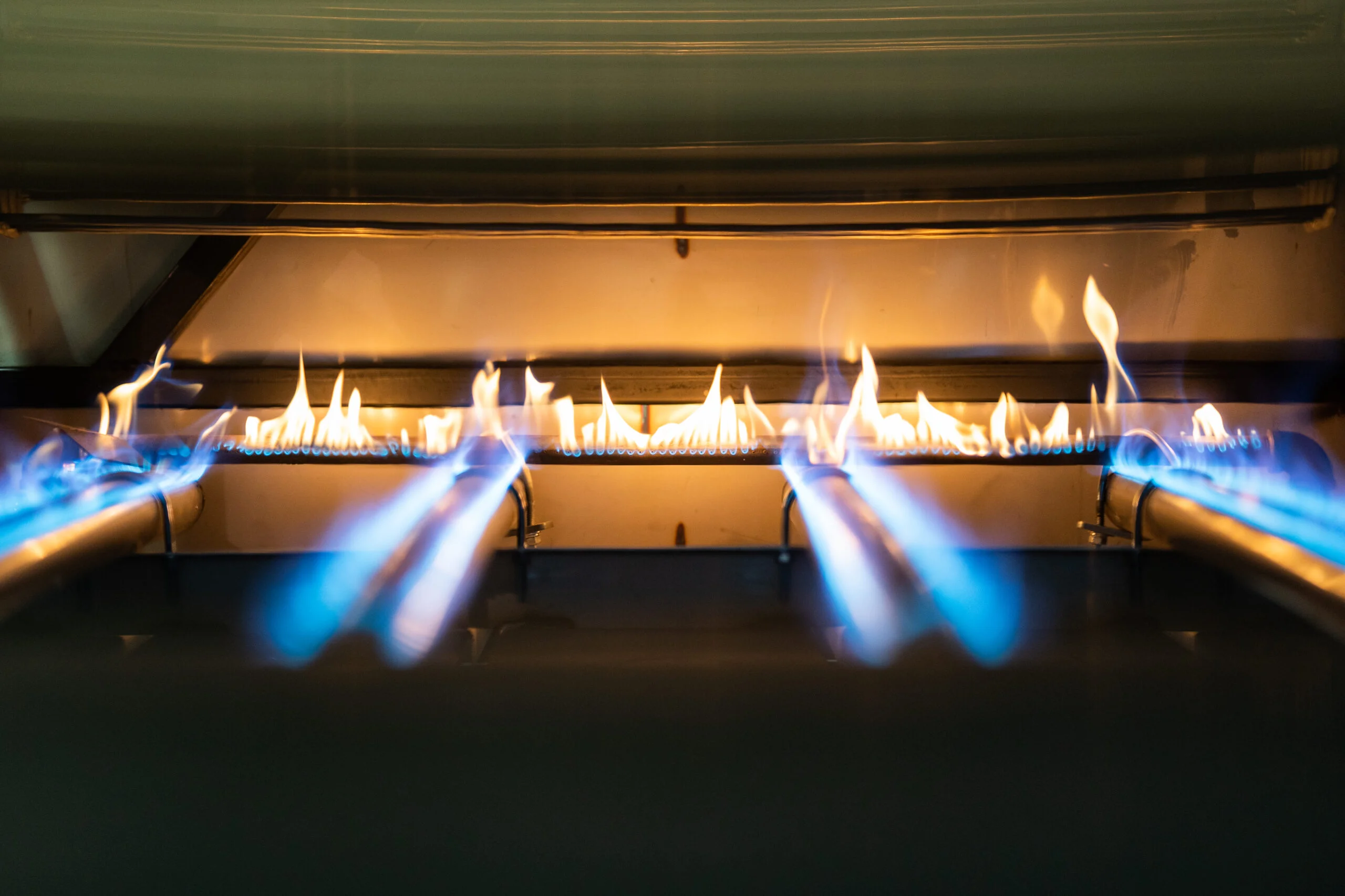 Model 600 Chicken & Rib Cooker